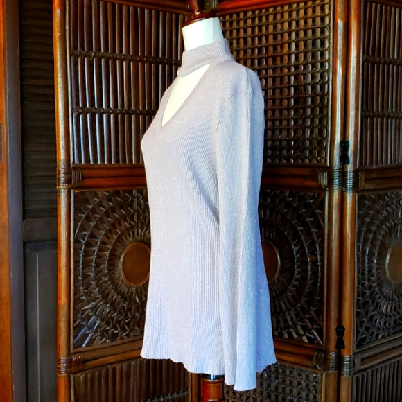 DG2 by Diane Gilman - Sweater - Sparkly Mauve Silver Metallic Threads - 1X - NWT - Picture 8 of 16